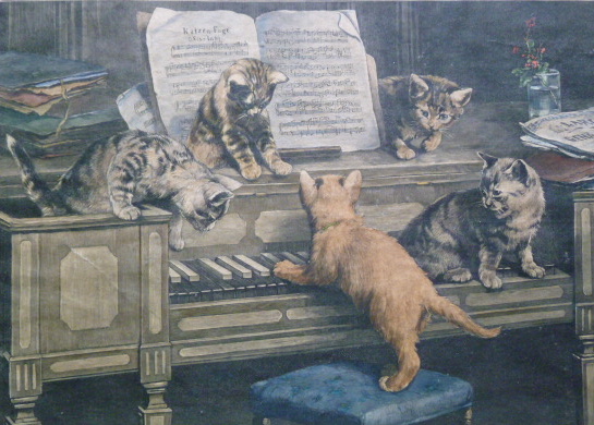 Klavier Katzen